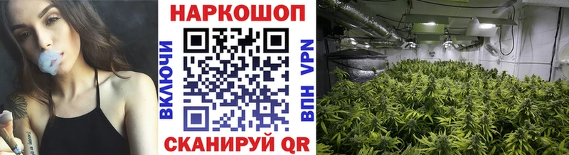 Виды наркотиков купить Печора Амфетамин A-PVP Меф мяу мяу Гашиш