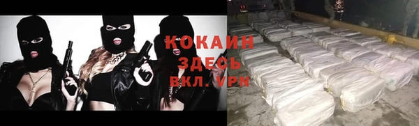 стаф Балахна
