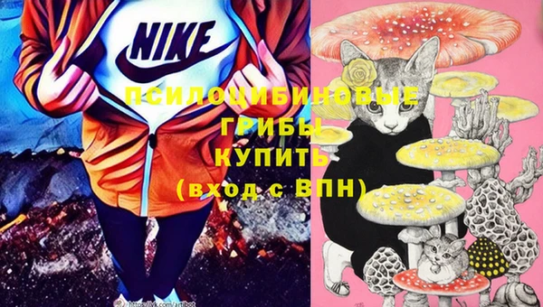стаф Балахна