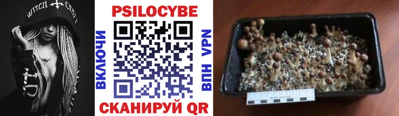 Псилоцибиновые грибы GOLDEN TEACHER  наркошоп  Печора 
